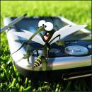 Фотография Комар Натальи