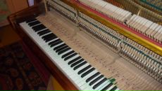 Роман Орлов фотография #9 (источник - https://vk.com/id9727451)