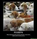 Дмитрий Винник фотография #24 (источник - https://vk.com/id26933235)