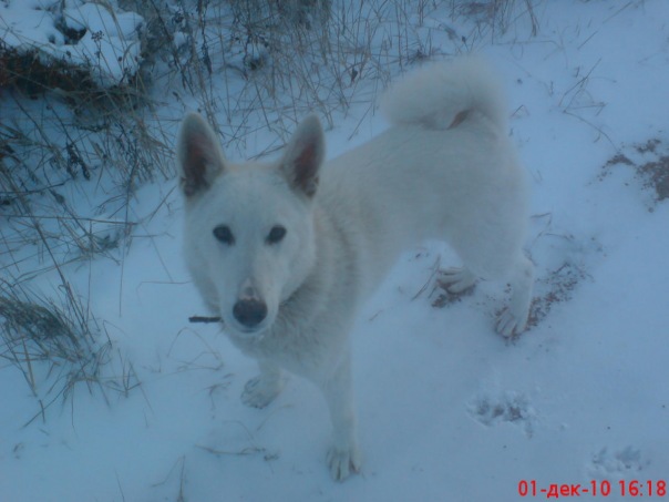 Александр Минченков фото №18