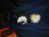 Фотография Павловой Людмилы