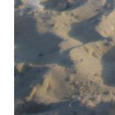 Діана Король фотография #9 (источник - https://vk.com/id53412183)