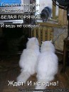 Иришка Венцова фотография #32 (источник - https://vk.com/id4664078)