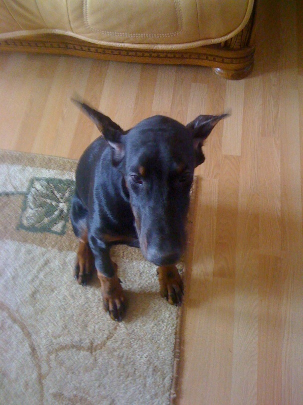 Руслан К фотография #29