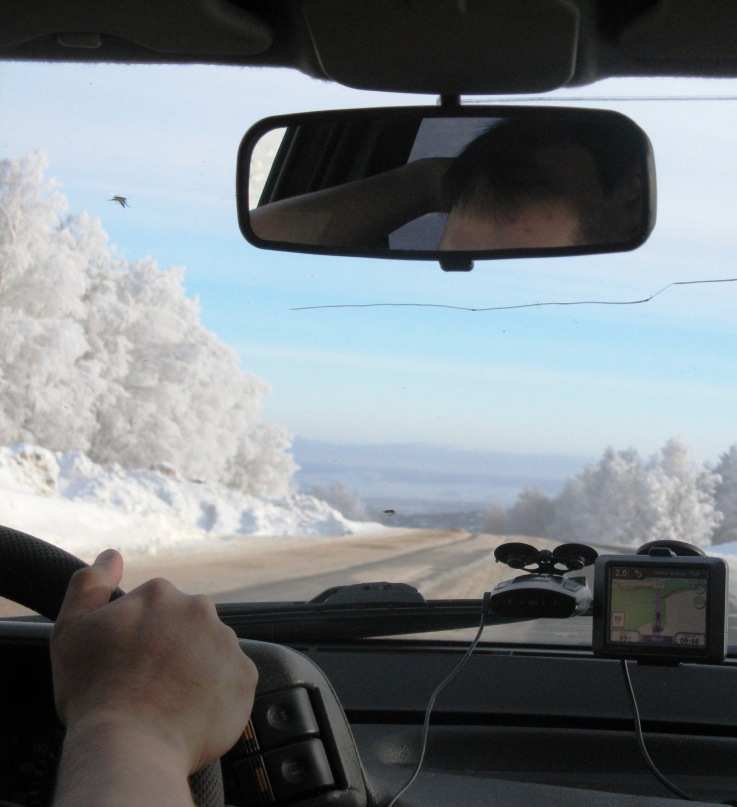 Timur Artykov фотография #33