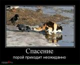 Андрій Сидлярук фотография #21 (источник - https://vk.com/id97035680)