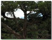 Олег Вілігурський фотография #28 (источник - https://vk.com/id14782698)