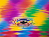 Фотография Мурашовой Елены