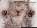 Станислав ... фотография #19 (источник - https://vk.com/id14570168)