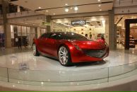 Фотография Shamarina Alexandra