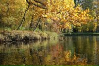 Фотография Козловой Ирины