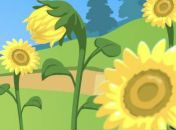 Ірина Смачило фотография #48 (источник - https://vk.com/id133972009)