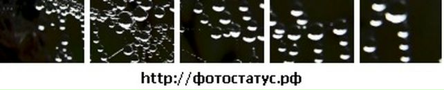 Юлія Бардецька фотография #30 (источник - https://vk.com/id96473979)