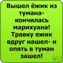 Едуард Ігнатюк фотография #22 (источник - https://vk.com/id33748064)