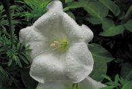 Дмитро Іванов фотография #39 (источник - https://vk.com/id7024687)