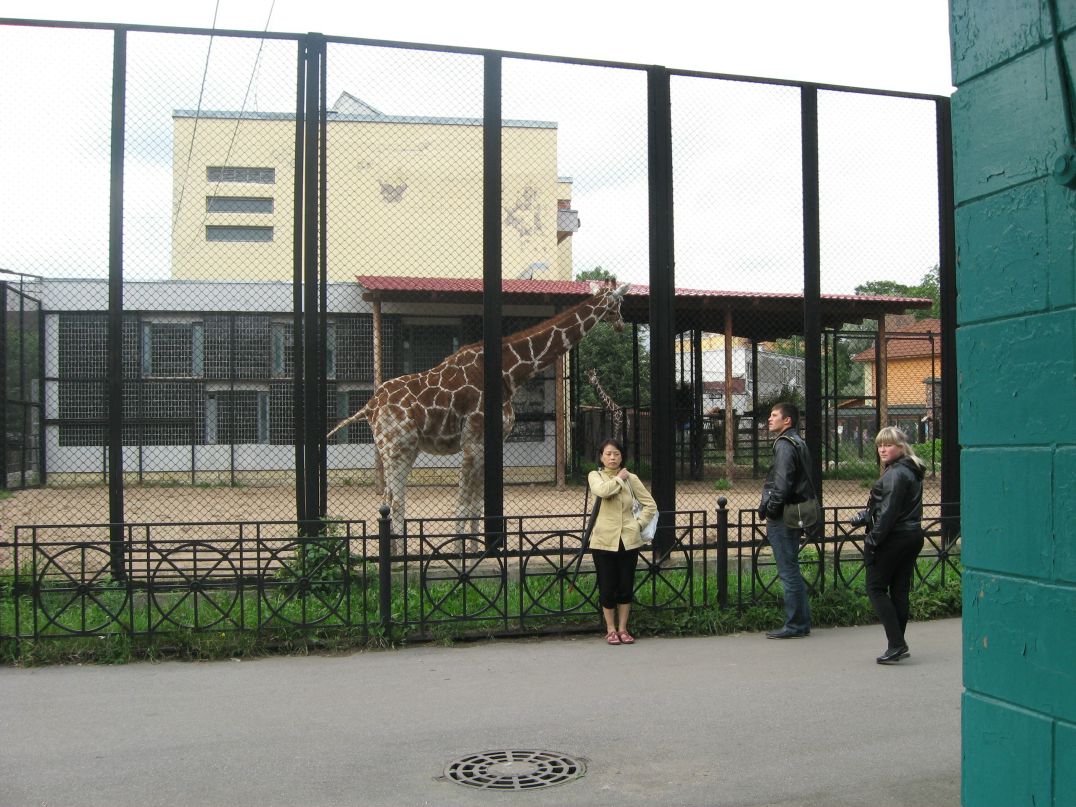 Руслан Лигай фотография #24