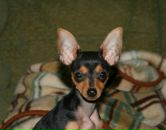 Фотография Черноморец Анны