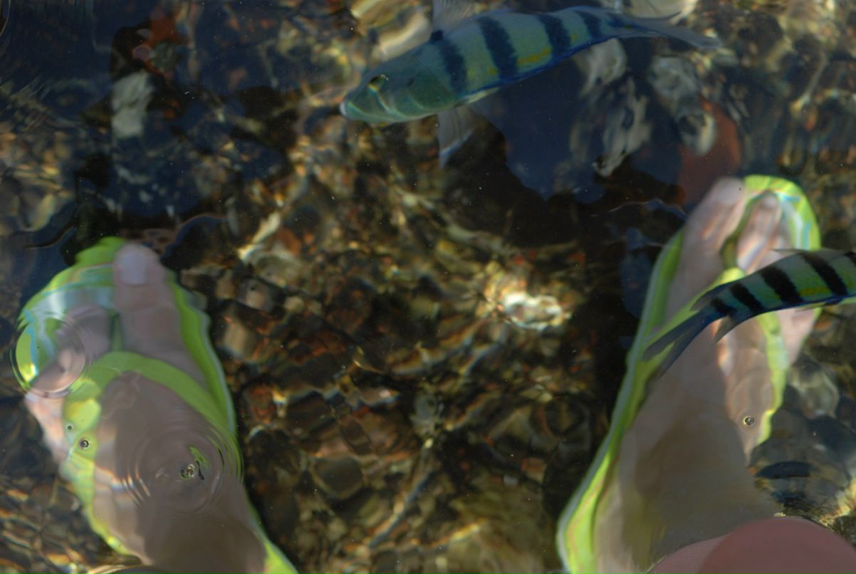 Лора Ткач фотография #25