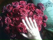 Фотография Кетов Иван