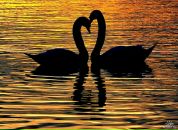 Фотография Моховой Айшан