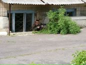 Андрій Михальнюк фотография #1