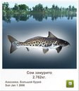 Иван Бабинец фотография #19 (источник - https://vk.com/id120069385)