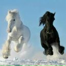 Аліна Козяр фотография #47 (источник - https://vk.com/id136411003)