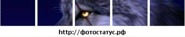 Андрій Inkognito фотография #31 (источник - https://vk.com/id21309440)