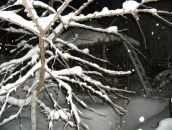 Андрій Вернигора фотография #27 (источник - https://vk.com/id24298827)