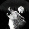Міша Ковач фотография #14 (источник - https://vk.com/id139434859)