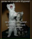 Віра Камінська фотография #22 (источник - https://vk.com/id14757001)