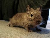 Фотография Дмитриева Павла