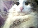 Марія Мар фотография #25 (источник - https://vk.com/id156736276)