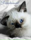 Фотография Владимировны Еленочки