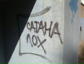 Фотография Хвоея Руки