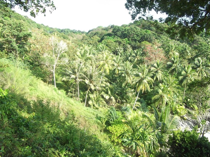 Дмитрий Михеенко фотография #26