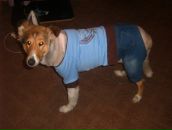 Фотография Ромадовой Наташи