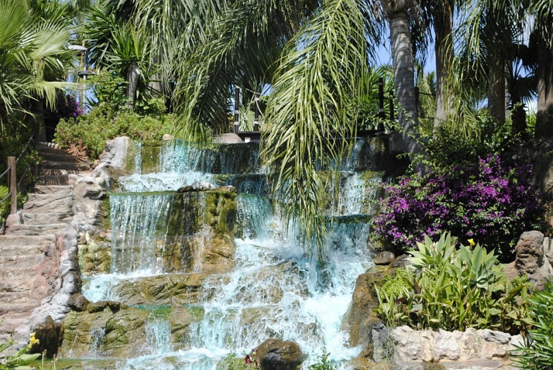 Дмитрий Стефиенко фотография #39