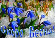 Степанія Колосовська фотография #18 (источник - https://vk.com/id66224320)