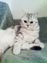 Аленка :3 фотография #5 (источник - https://vk.com/id140282403)