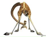 Фотография Гурьяновой Ирины