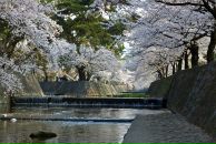 Евгений Киселёв фотография #45 (источник - https://vk.com/id595002)