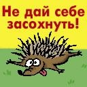 Андрій Петренко фотография #16 (источник - https://vk.com/id170317184)