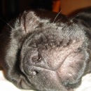 Фотография Питание Тренировки