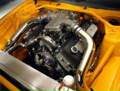 Фотография Сушенцева Даниила