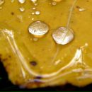 Фотография Углова Вячеслава