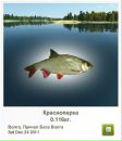 Каріна Бірюкова фотография #12 (источник - https://vk.com/id156331341)