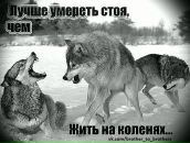 Богдан Алексійчук фотография #17 (источник - https://vk.com/id153379428)