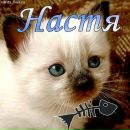 Анастасія Присакар фотография #5 (источник - https://vk.com/id102354675)
