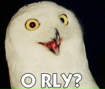 Фотография Орлова Константина